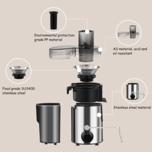 220V 2 Speed 800W Stainless Steel Blender Electric Juicer Full Automatic Large Caliber Juicer Extractor Fruit Drinking Machine