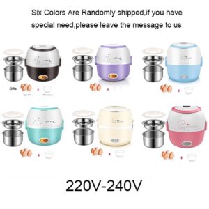 DMWD Mini Electric Rice Cooker Stainless Steel 2/3 Layers Steamer Portable Meal Thermal Heating Lunch Box Food Container Warmer