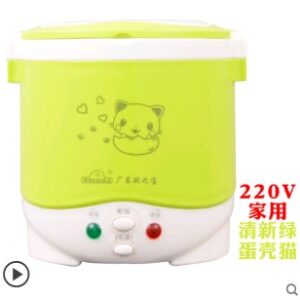 1L rice cooker used in house 110v to 220v or car 12v to 24v enough for two persons with English Instructions